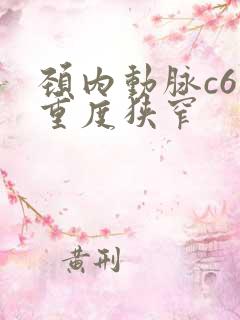 颈内动脉c6段重度狭窄