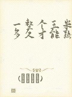 一整个玉米要煮多久才能熟