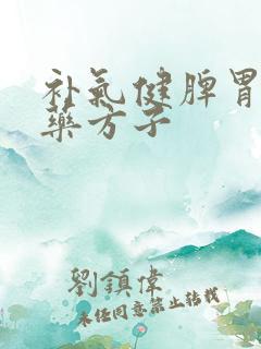 补气健脾胃的中药方子