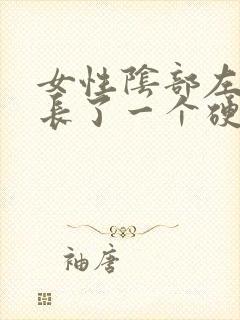 女性阴部左侧内长了一个硬疙瘩