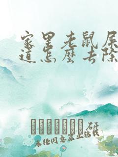 家里老鼠屎尿味道怎么去除