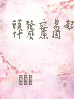 头发容易起油是什么原因