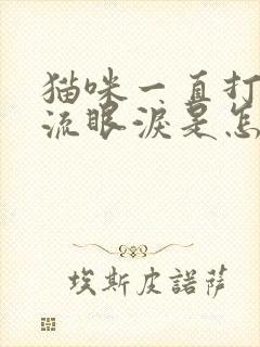 猫咪一直打喷嚏流眼泪是怎么回事