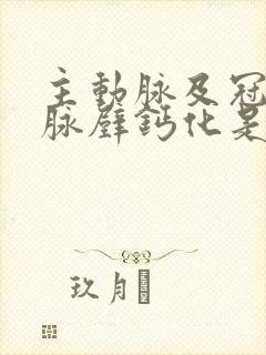 主动脉及冠状动脉壁钙化是怎么回事