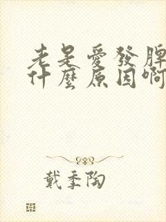 老是爱发脾气是什么原因啊