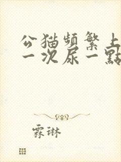 公猫频繁上厕所一次尿一点咋回事