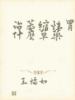 治萎缩性胃炎吃什么草药