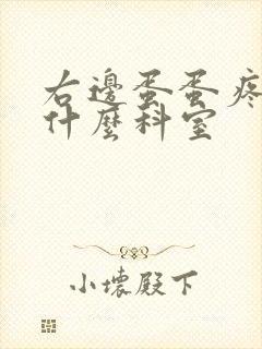 右边蛋蛋疼痛挂什么科室