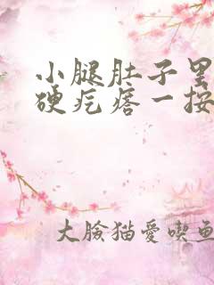 小腿肚子里面有硬疙瘩一按就疼