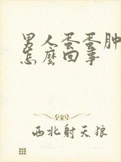 男人蛋蛋肿疼是怎么回事