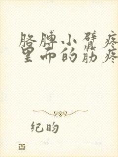 胳膊小臂疼感觉里面的筋疼