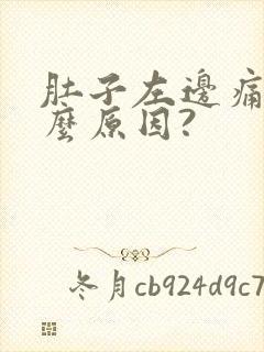 肚子左边痛是什么原因?