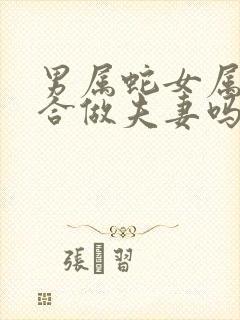 男属蛇女属羊适合做夫妻吗