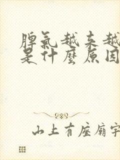 脾气越来越不好是什么原因