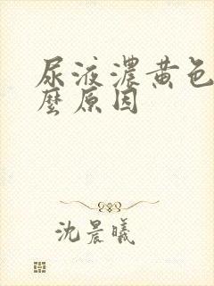 尿液浓黄色是什么原因