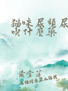 猫咪尿频尿不出吃什么药