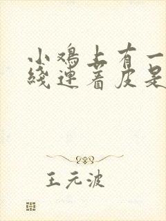 小鸡上有一条红线连着皮是怎么回事