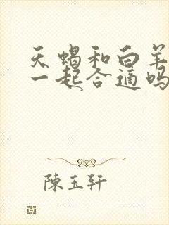 天蝎和白羊女在一起合适吗