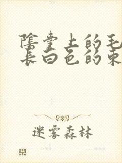 阴囊上的毛囊里长白色的东西