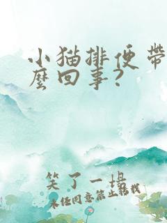 小猫排便带血怎么回事?