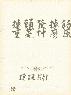 掉头发掉的很严重是什么原因是什么