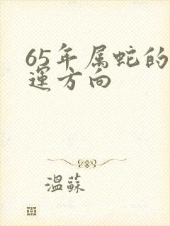 65年属蛇的财运方向