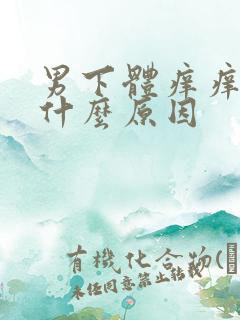 男下体痒痒的是什么原因