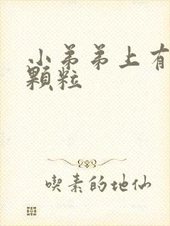 小弟弟上有小肉颗粒