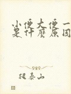 小便大便一起出是什么原因