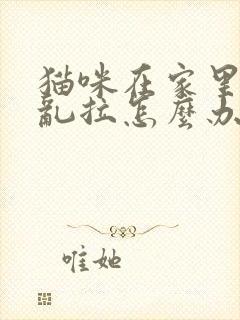 猫咪在家里乱尿乱拉怎么办