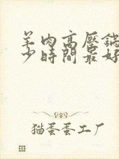 羊肉高压锅炖多少时间最好