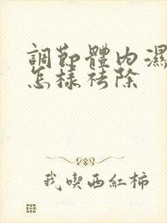 调节体内湿气重怎样祛除