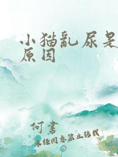 小猫乱尿是什么原因