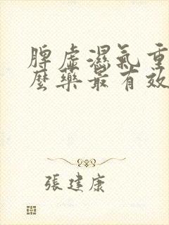 脾虚湿气重吃什么药最有效