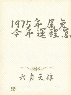 1975年属兔今年运程怎么样