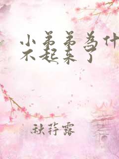 小弟弟为什么硬不起来了