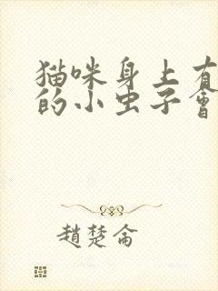 猫咪身上有黑色的小虫子会爬