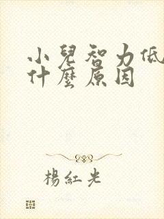 小儿智力低属于什么原因