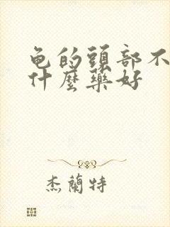 龟的头部不硬吃什么药好