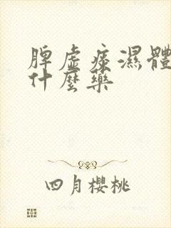 脾虚痰湿体质吃什么药