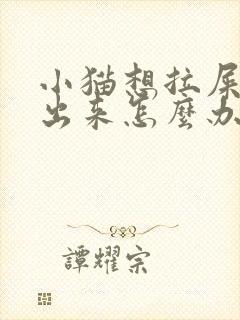 小猫想拉屎拉不出来怎么办