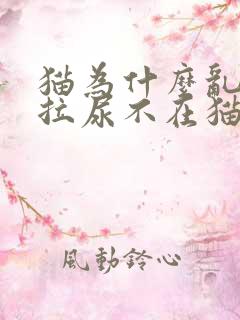 猫为什么乱拉屎拉尿不在猫砂盆里