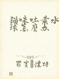 猫咪吐黄水和毛球怎么办