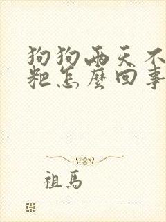 狗狗两天不拉粑粑怎么回事