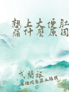 想上大便肚子绞痛什么原因