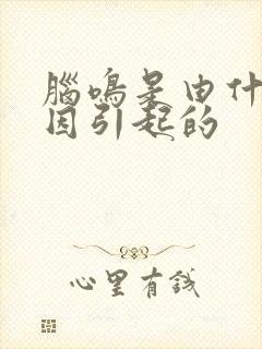 脑鸣是由什么原因引起的