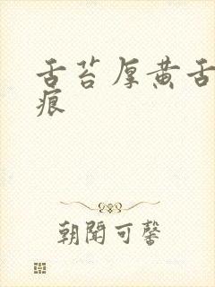 舌苔厚黄舌边齿痕