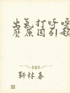 出气打呼噜是什么原因引起的