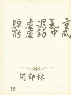 脾虚湿气重肾精亏虚的中成药