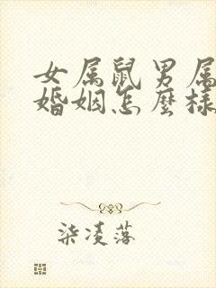 女属鼠男属兔的婚姻怎么样